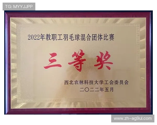 羽毛球获奖证书