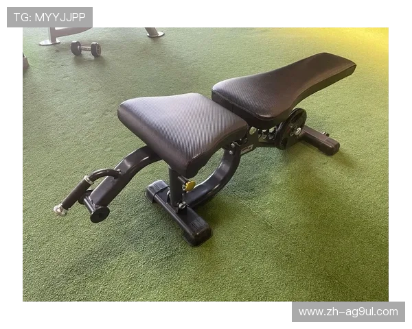 高端品牌健身器材市场价格趋势深度报告