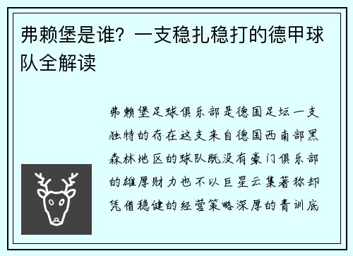 弗赖堡是谁？一支稳扎稳打的德甲球队全解读